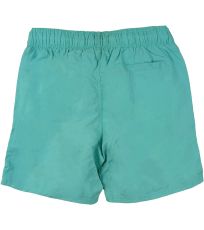 Pánske plavecké kraťasy Swimwear Blend 