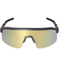 Unisex sportovní brýle SOFERE ALPINE PRO