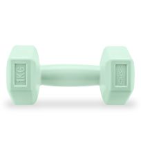 Súprava šesťhranných činiek 1 kg (2ks) MONSTER Spokey 