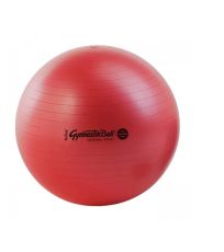 Gymnastická lopta 42 cm Maxafe Ledragomma