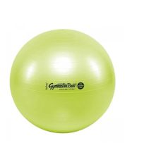 Gymnastická lopta 65 cm Maxafe Ledragomma