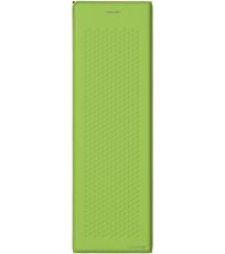 Parrot green