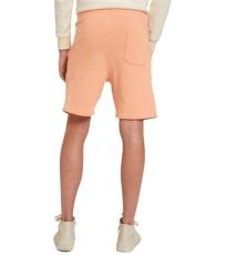 Pánske bavlnené kraťasy TT-1030619 Tom Tailor 